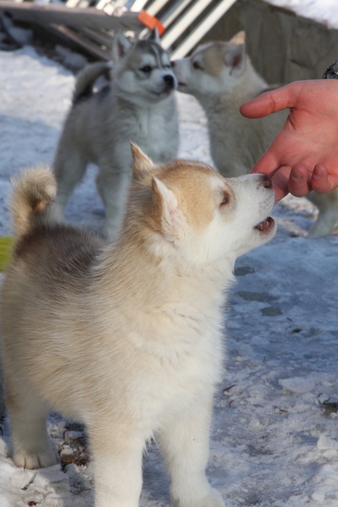 bite bite