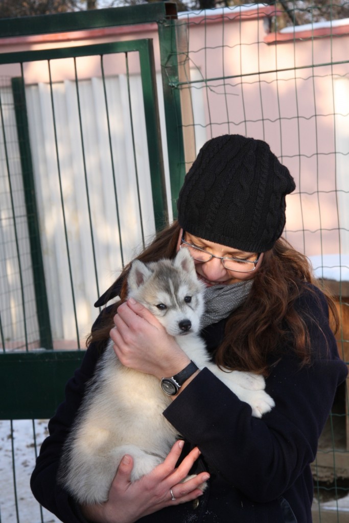 karolina and husky2 karolina and husky2