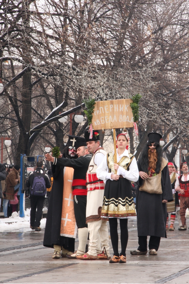 IMG_8545 IMG_8545