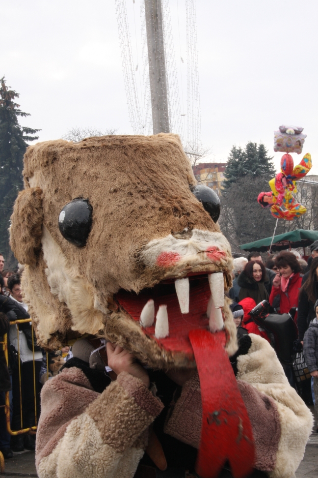 IMG_8607 IMG_8607