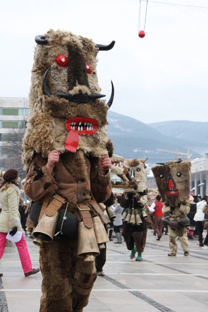 IMG_8648 IMG_8648